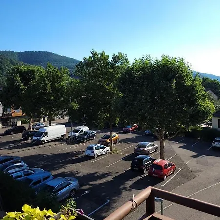 Appartement Au Cigogneau Wifi-Netflix-Balcon-Parking Munster  Exterior photo