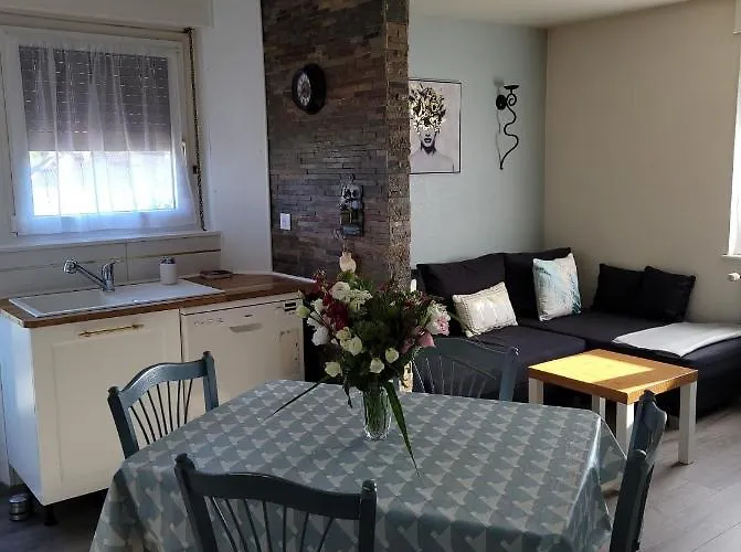 Appartement Au Cigogneau Wifi-Netflix-Balcon-Parking