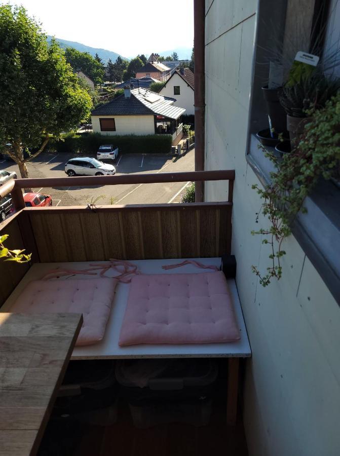 Apartment Au Cigogneau Wifi-netflix-balcon-parking