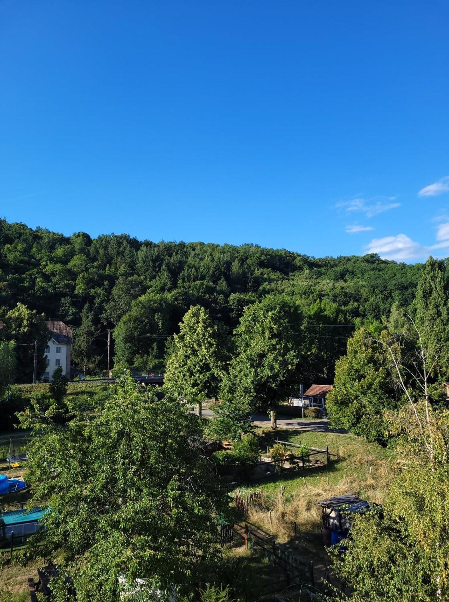 Au Cigogneau Wifi-netflix-balcon-parking Munster (Haut-Rhin)